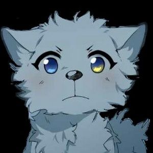 Meet your Posher, Eden